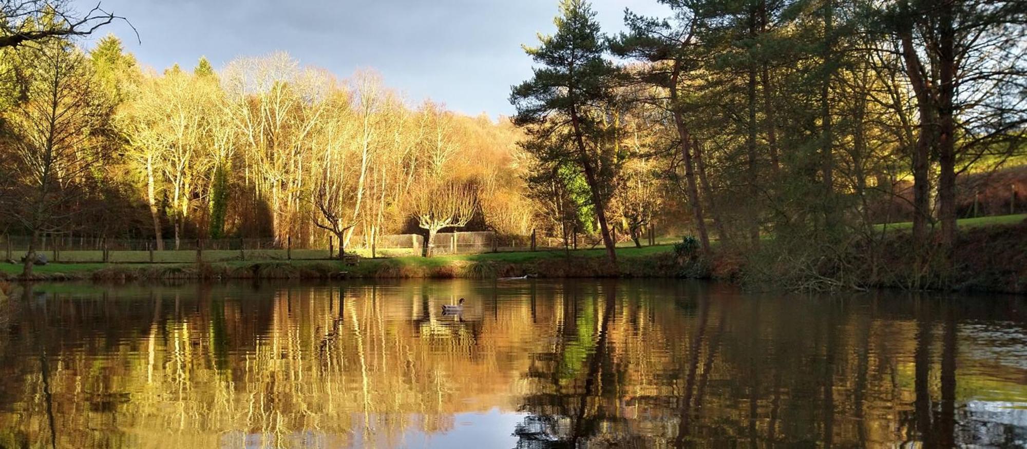 Le Petit Lac Bourganeuf Ngoại thất bức ảnh